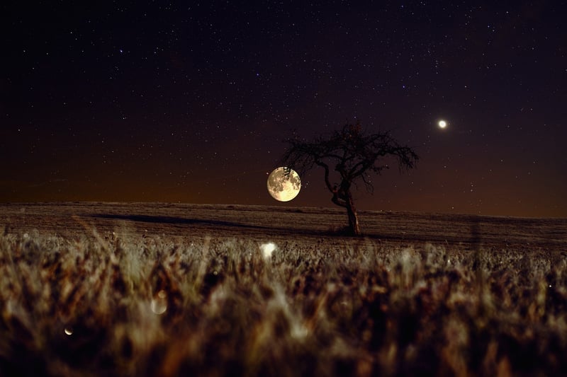 Moonlit Reception
